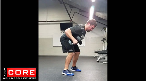 One Arm DB Bent Over Row